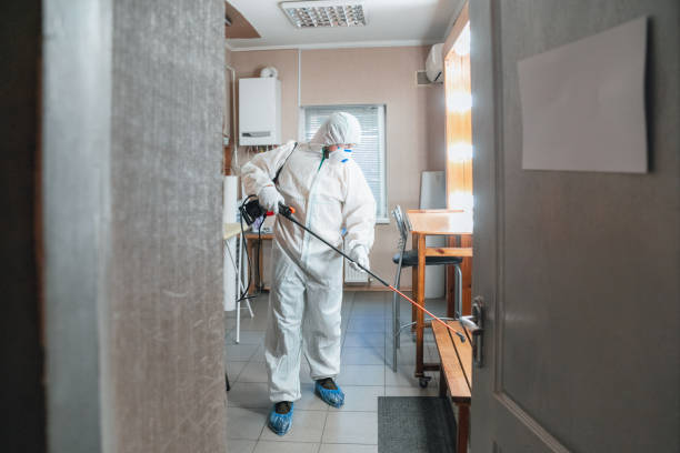 Mold Remediation for Vacation Homes in East Uniontown, PA