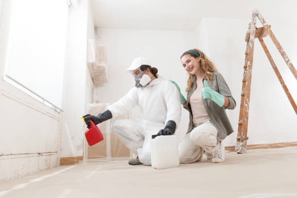 Best Real Estate Mold Inspection  in East Uniontown, PA